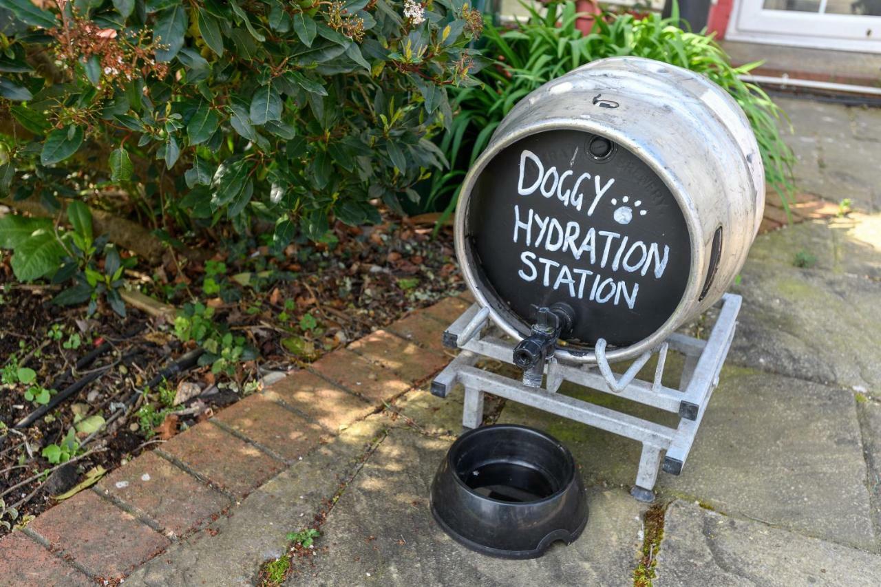 The Mortimer Arms (Adults Only) Romsey Exteriér fotografie